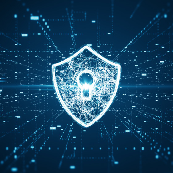 Ciberseguridad avanzada